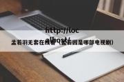 孟若羽无套在线看（孟若因是哪部电视剧）
