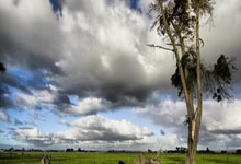 黑料网视频（黑料网视频）